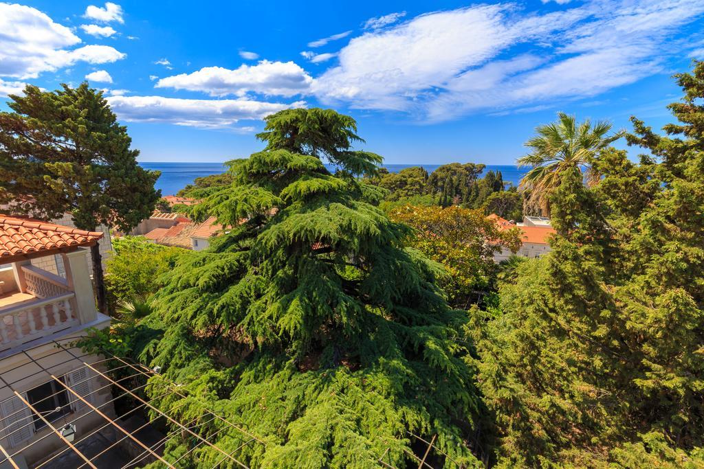 Vila Hedera Estate, House Hedera V Dubrovník Exteriér fotografie