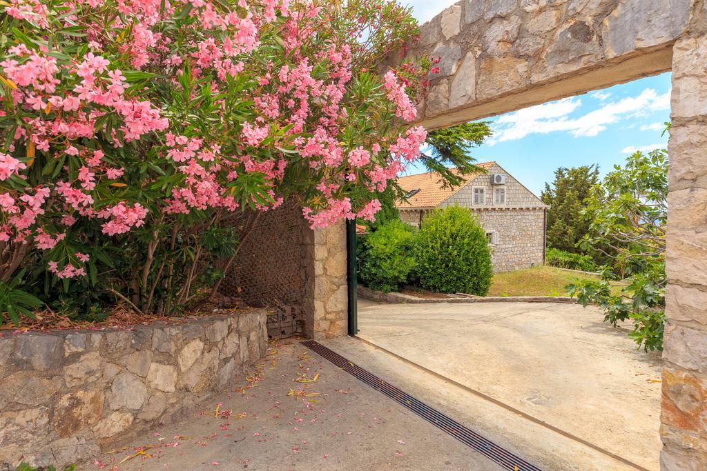 Vila Hedera Estate, House Hedera V Dubrovník Exteriér fotografie